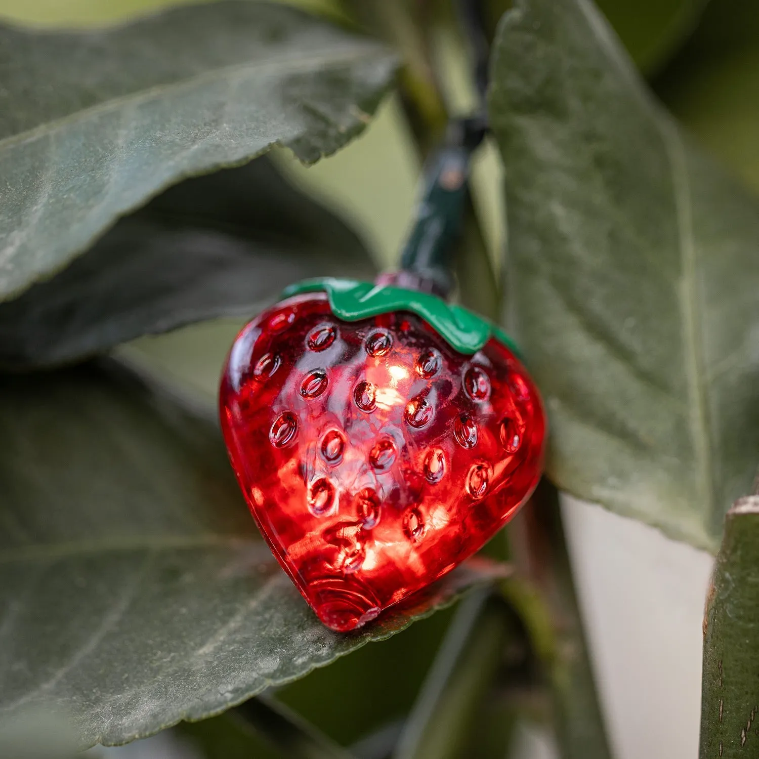 20 Strawberry Solar String Lights