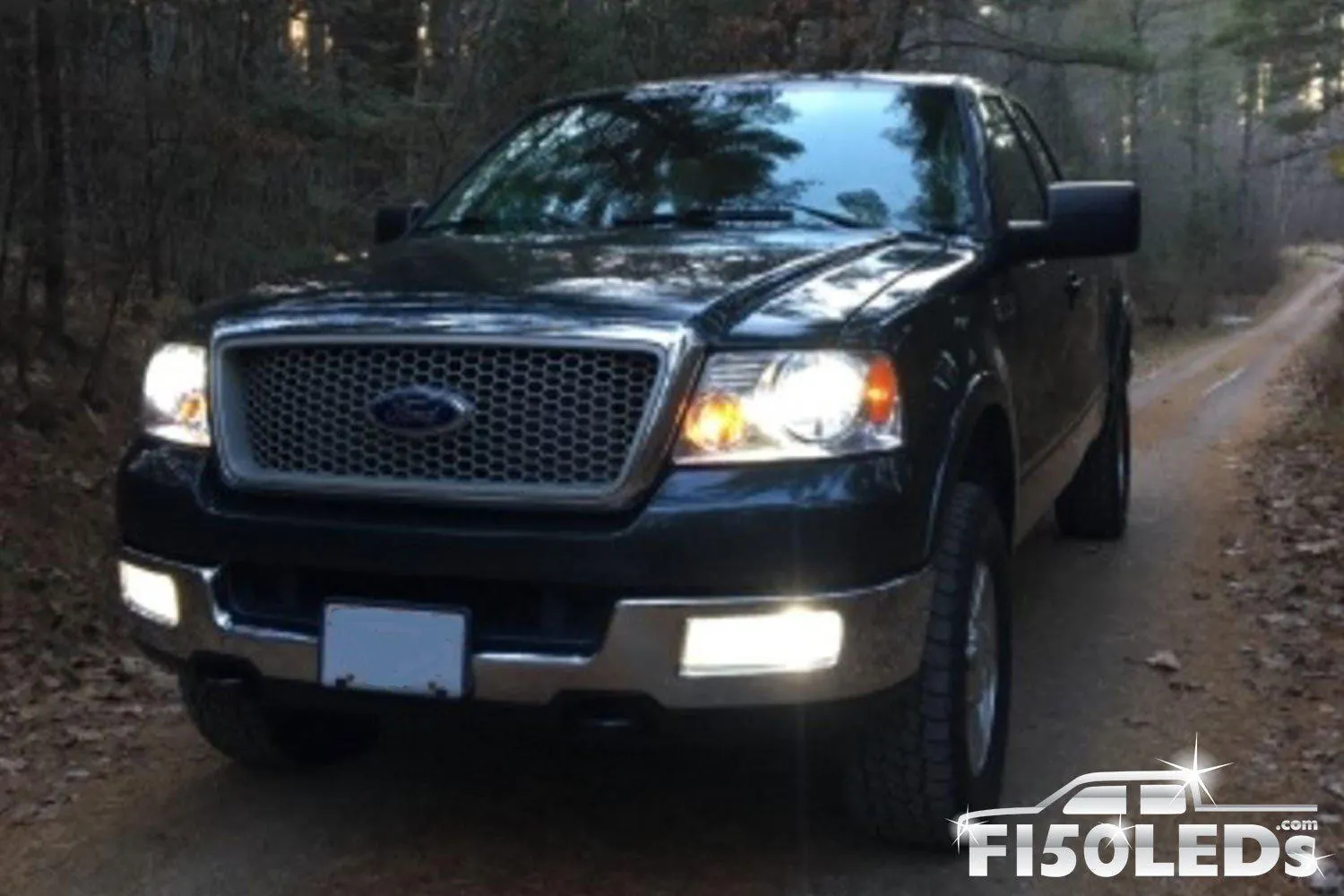 2004-08 CREE LED Fog Light Bulbs