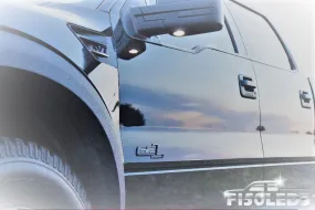 2010-14 F150 RAPTOR Mirror Puddle Lamp LED Bulbs