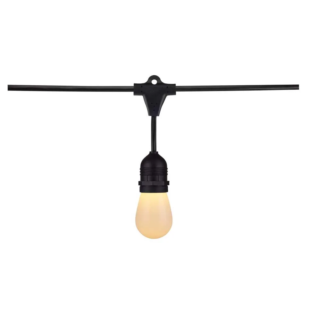 24-ft 12w 120v 12-S14 Lamp Tunable White IOT Starfish LED String Light