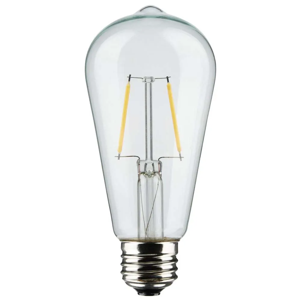 24-ft 24w 120v LED String Light -  Include 12 Vintage ST19 bulbs