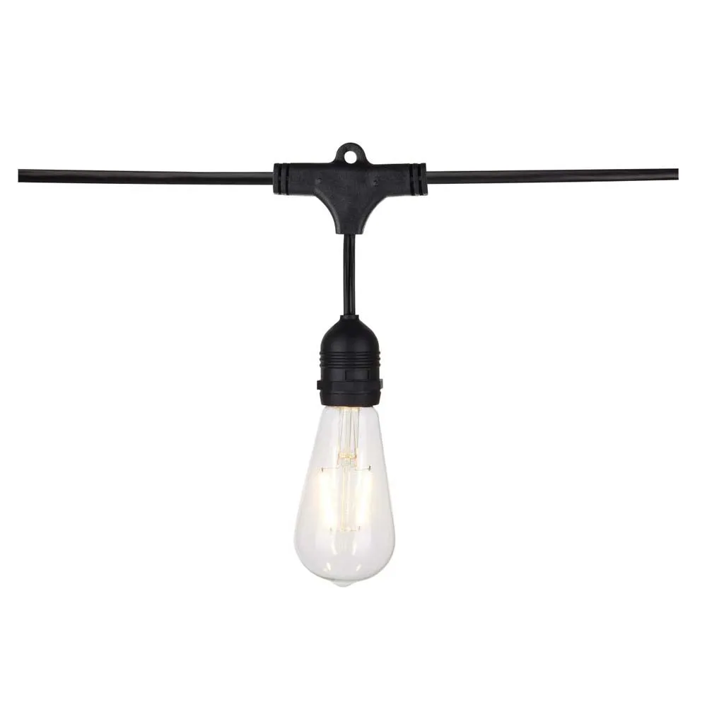 24-ft 24w 120v LED String Light -  Include 12 Vintage ST19 bulbs