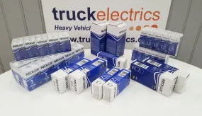 24v Winter Bulb Offer / 120 Bulbs