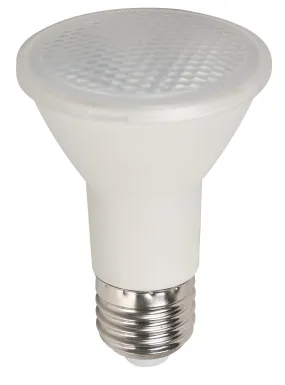 40W PAR20 LED Bulb