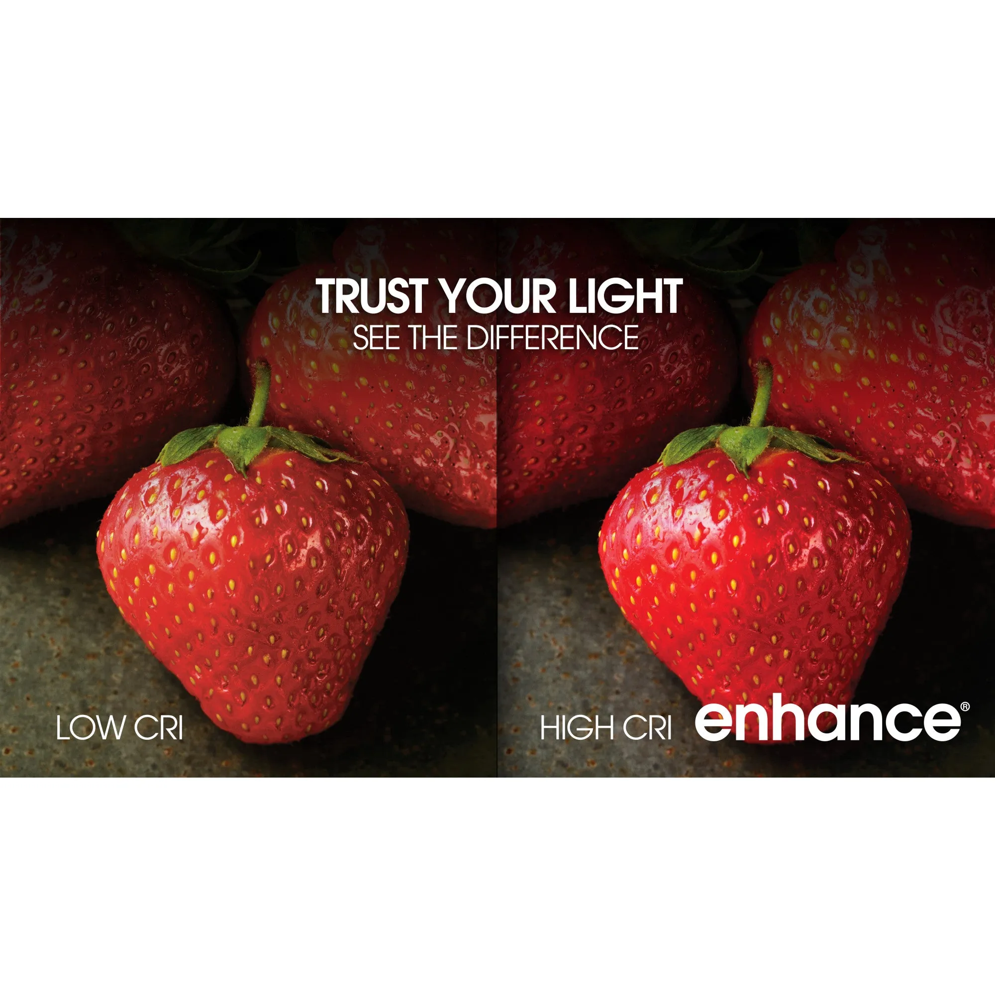 9W (60W Replacement) Daylight (5000K) E26 Base A19 Smart WiFi Bulb (3-Pack)