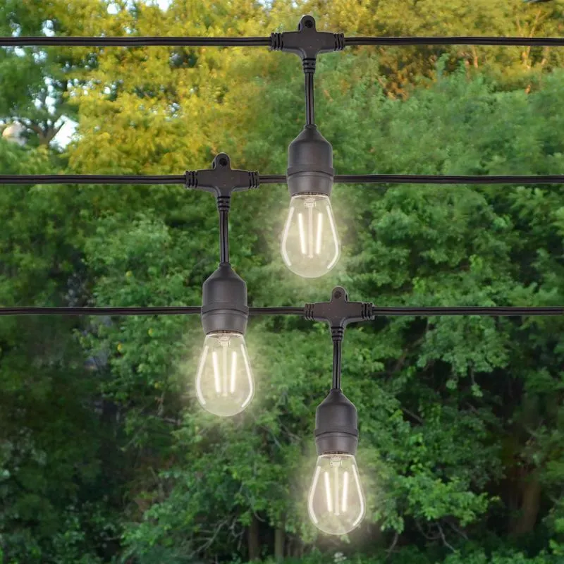 Belle Luci Holiday Bright Lights S14 E26 (Medium) Filament LED Bulb Warm White 1.5 Watt Equivalence