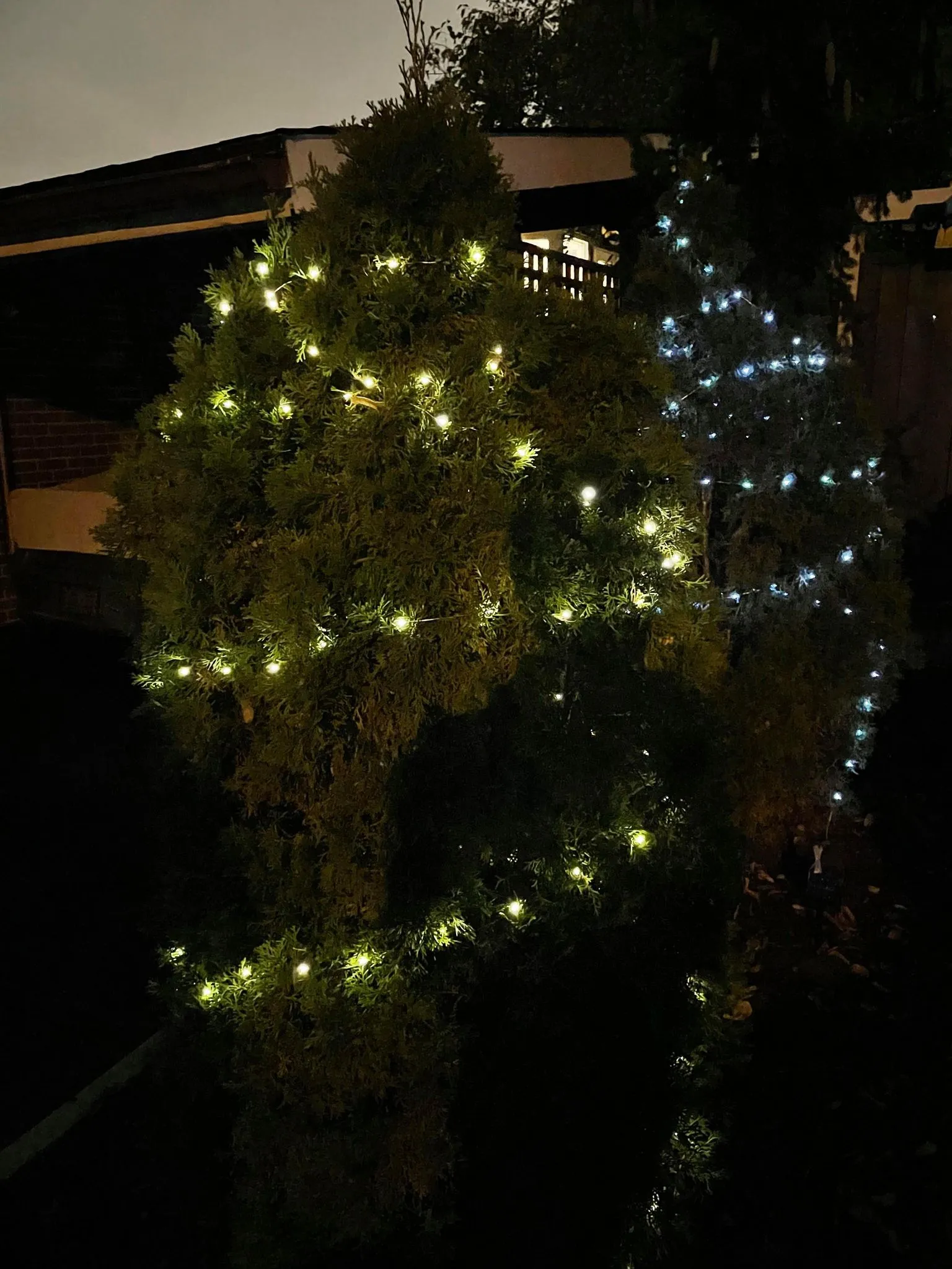 BigM LED solar fairy string lights for outdoor holiday decoration
