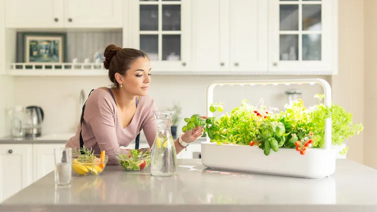 Click & Grow Smart Garden 9 | Automatic Indoor Garden 9 by Trueform