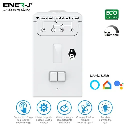 ENER-J 2 ways Wireless Receiver, 5Ax2 on/off RF433mhz   WiFi Non Dimmable