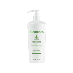 GINKGO BILOBA   ALOE VERA   BAMBOO SPROUT COND  MASK 1L