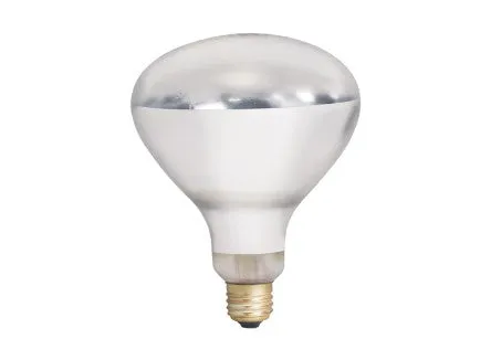 Heat Lamp Bulb 250W Clear