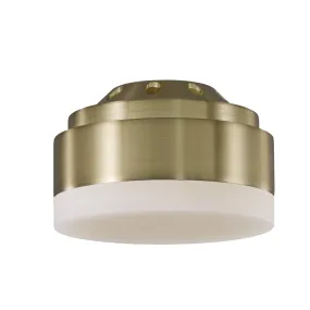 LED Fan Light Kit from the Aspen 56 Collection in Burnished Brass Finish by Visual Comfort Fan