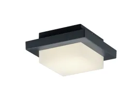 LED Outdoor Wall Sconce from the Hondo Collection in Dark Grey Finish by Arnsberg
