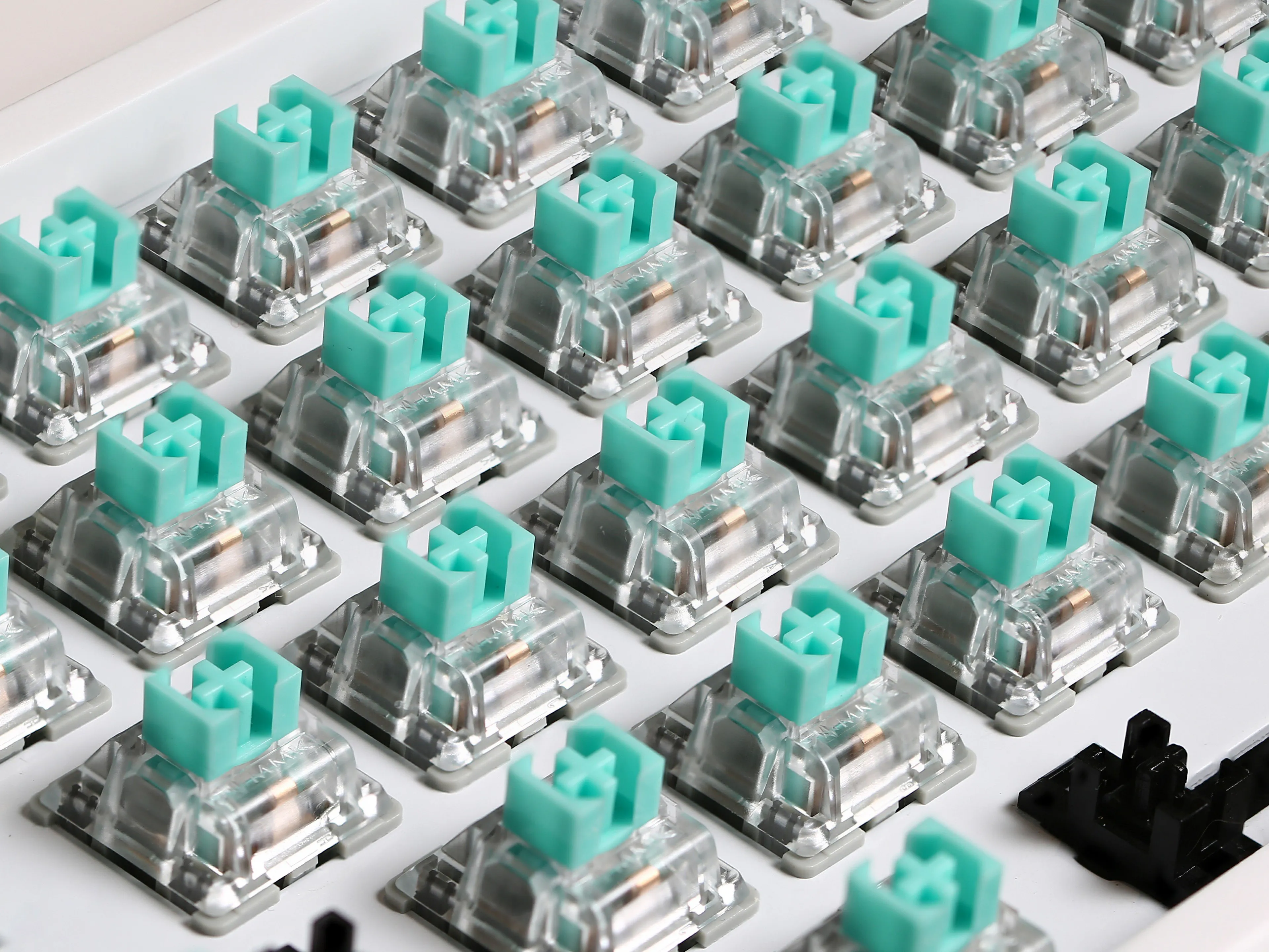 Momoka FROG Switches