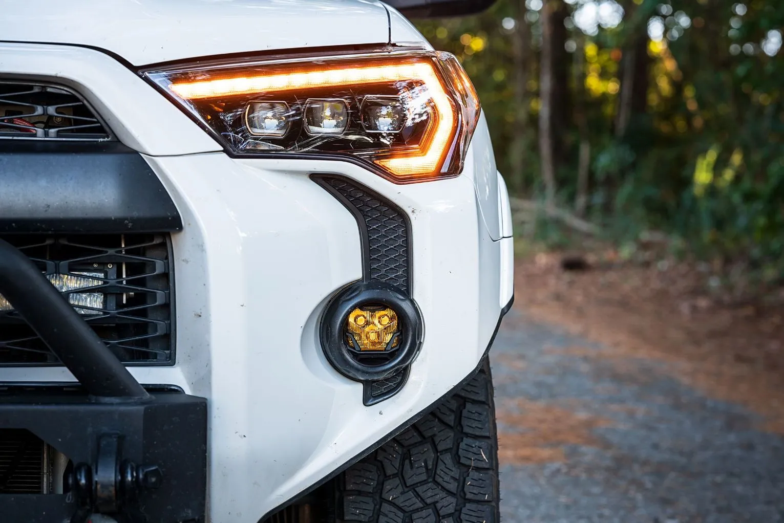 Morimoto 4Banger Fog Brackets: Type T