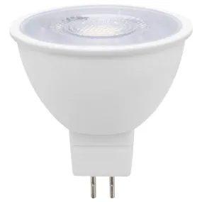 MR16 Day Light Dim36D LED  Globe