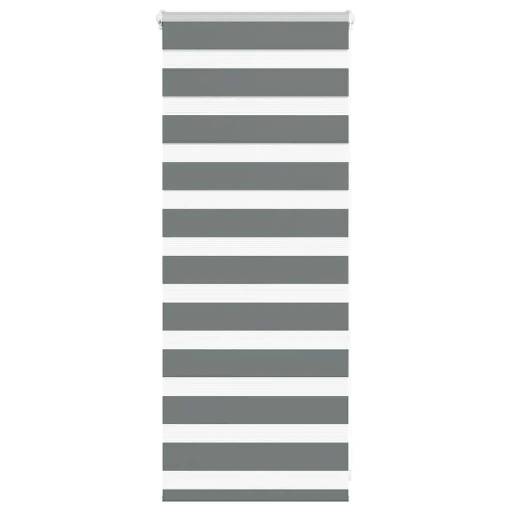 vidaXL Zebra Blind Dark Grey 55x100 cm Fabric Width 50.9 cm Polyester