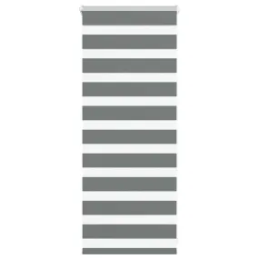 vidaXL Zebra Blind Dark Grey 60x100 cm Fabric Width 55.9 cm Polyester